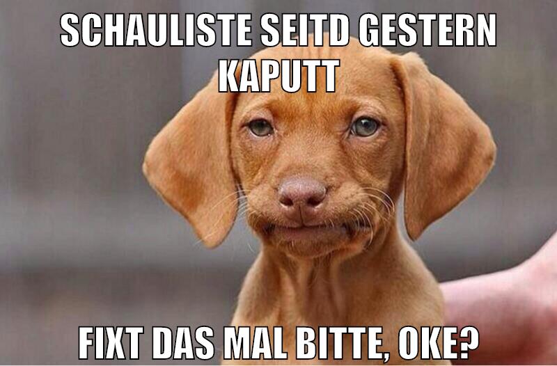 schauliste seitd gestern kaputt fixt das mal bitte, oke?