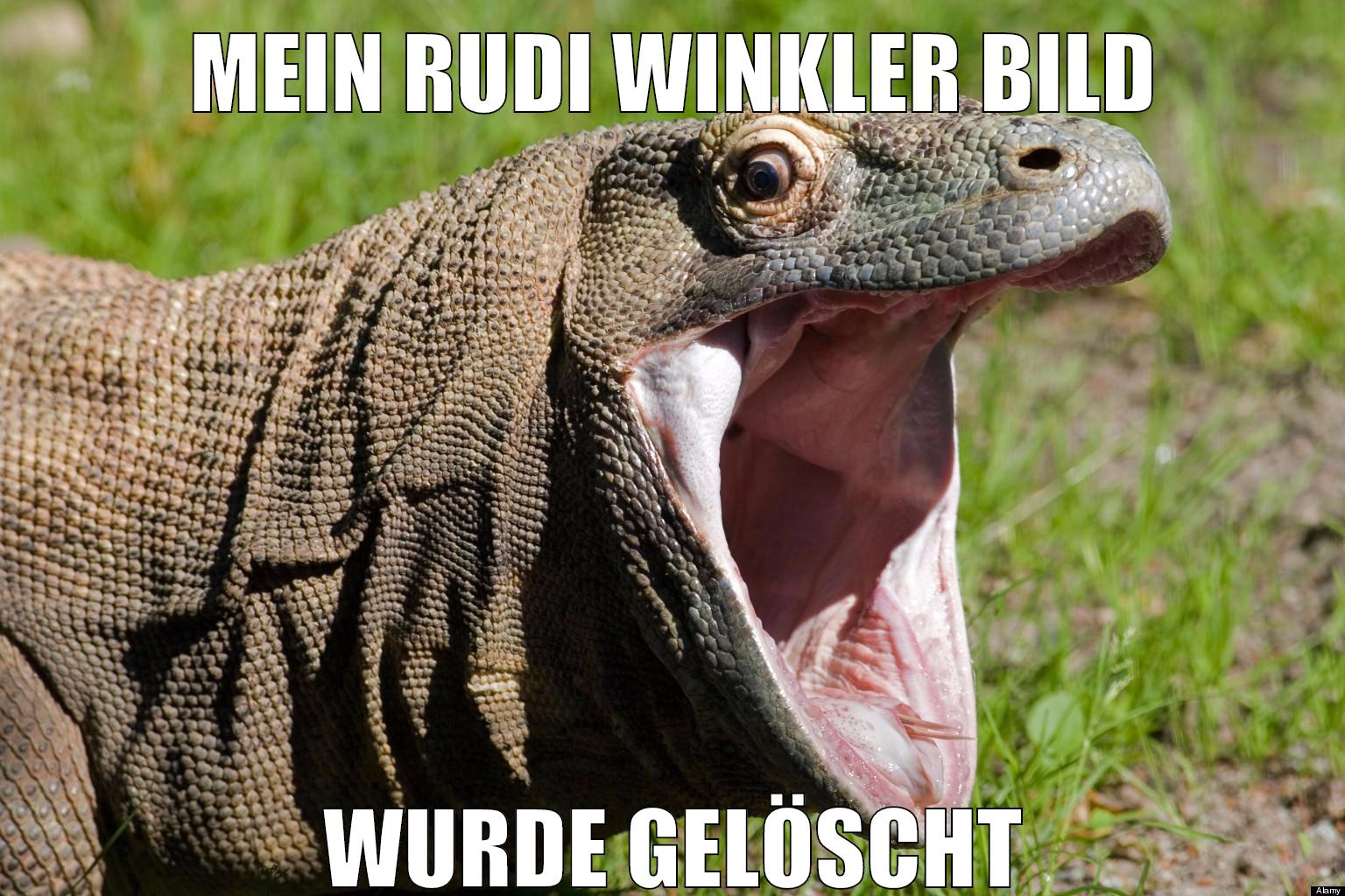 mein rudi winkler bild wurde gelöscht