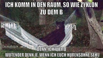 ich komm in den raum, so wie Zyklon zu dem B denn ich werd wütender denn je, wenn ich euch hurensöhne seh.