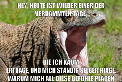 Hey, heute ist wieder einer der verdammten Tage, die ich kaum ertrage, und mich ständig selber frage, warum mich all diese Gefühle plagen