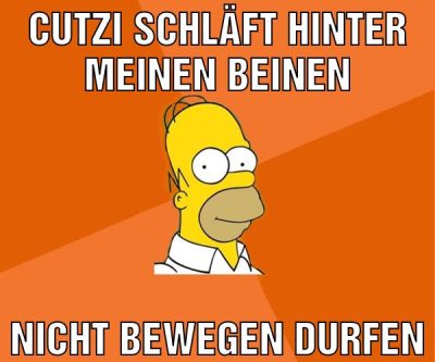 cutzi schläft hinter meinen beinen nicht bewegen dürfen