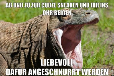 ab und zu zur cudze sneaken und ihr ins ohr beißen liebevoll dafür angeschnurrt werden
