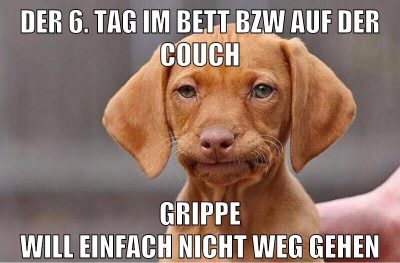 Viren scheinen meinen Organisimus zu lieben.