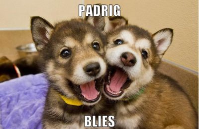 padrig blies