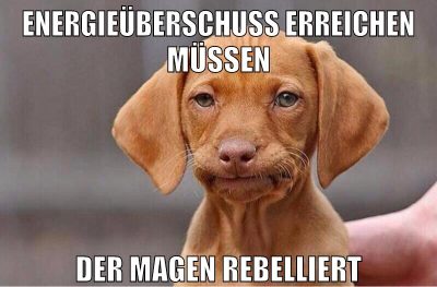 energieüberschuss erreichen müssen der magen rebelliert