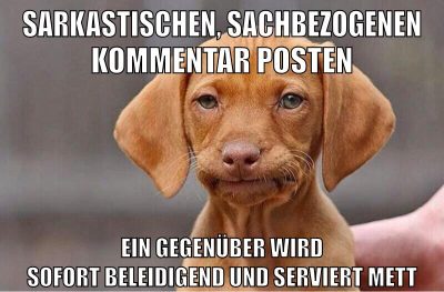Sarkastischen, sachbezogenen kommentar posten ein gegenüber wird sofort beleidigend und serviert mett
