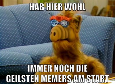 hab hier wohl immer noch die geilsten memers am start
