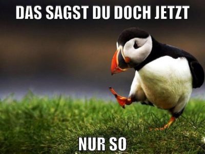 das sagst du doch jetzt nur so