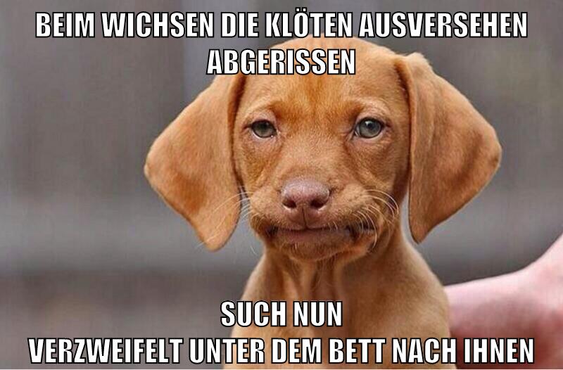 BEIM WICHSEN DIE KLÖTEN Ausversehen ABGERISSEN SUCH NUN VERZWEIFELT UNTER DEM BETT NACH IHNEN