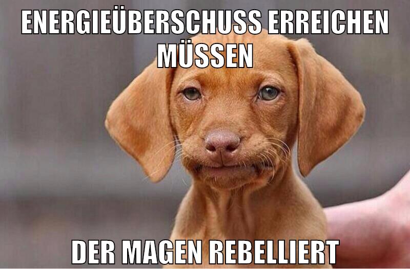 energieüberschuss erreichen müssen der magen rebelliert