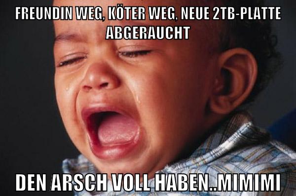 Freundin weg, Köter weg, neue 2TB-Platte abgeraucht Den Arsch voll haben..mimimi