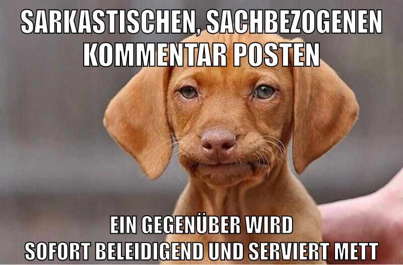 Sarkastischen, sachbezogenen kommentar posten ein gegenüber wird sofort beleidigend und serviert mett