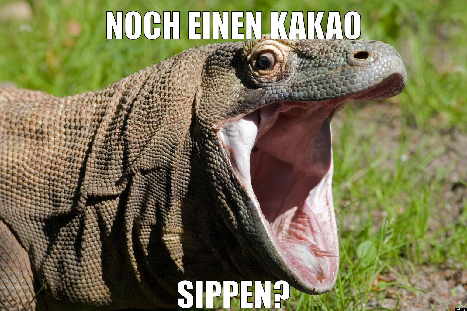 marina und pr0gramm stinken