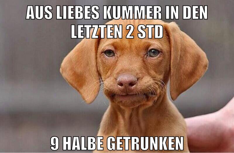 Aus liebes kummer in den letzten 2 std 9 Halbe getrunken