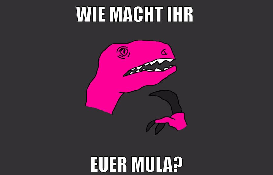 wie macht ihr euer mula?
