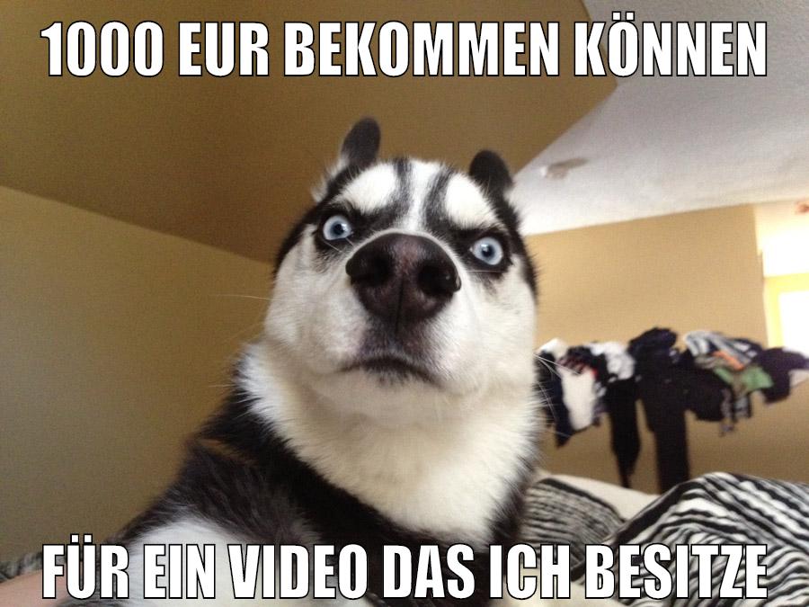 1000 EUR bekommen können für ein Video das ich besitze