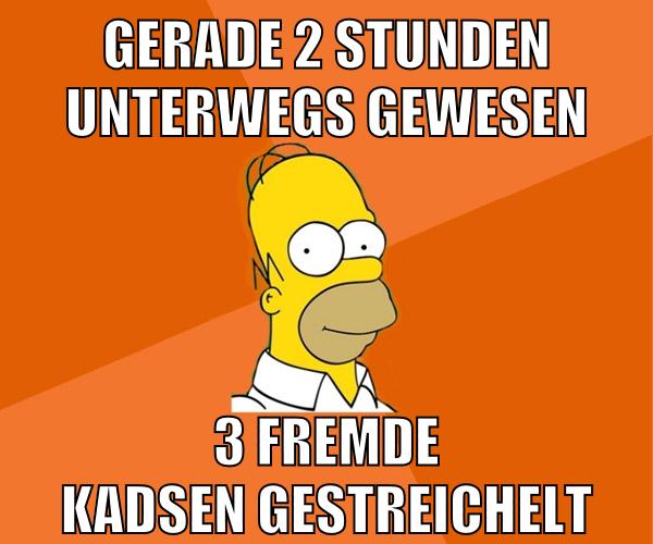 gerade 2 stunden unterwegs gewesen 3 fremde kadsen gestreichelt