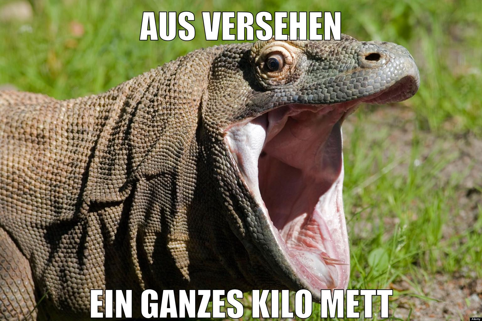 aus versehen ein ganzes kilo mett