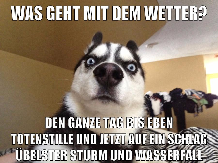 was geht mit dem wetter? den ganze tag bis eben totenstille und jetzt auf ein schlag übelster sturm und wasserfall