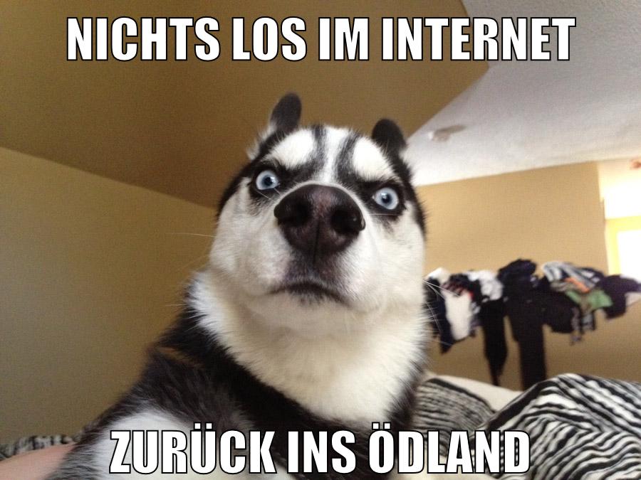 nichts los im internet zurück ins ödland