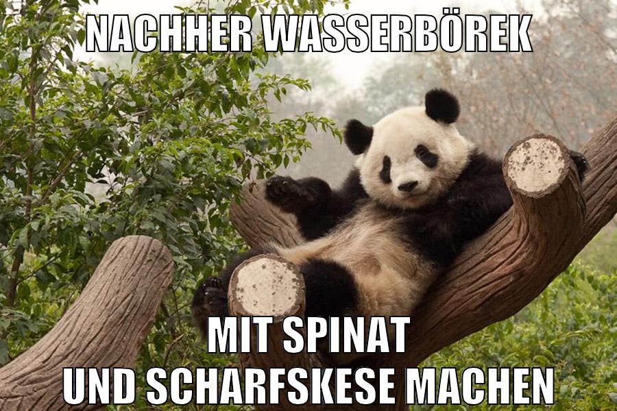 nachher wasserbörek mit spinat und scharfskese machen
