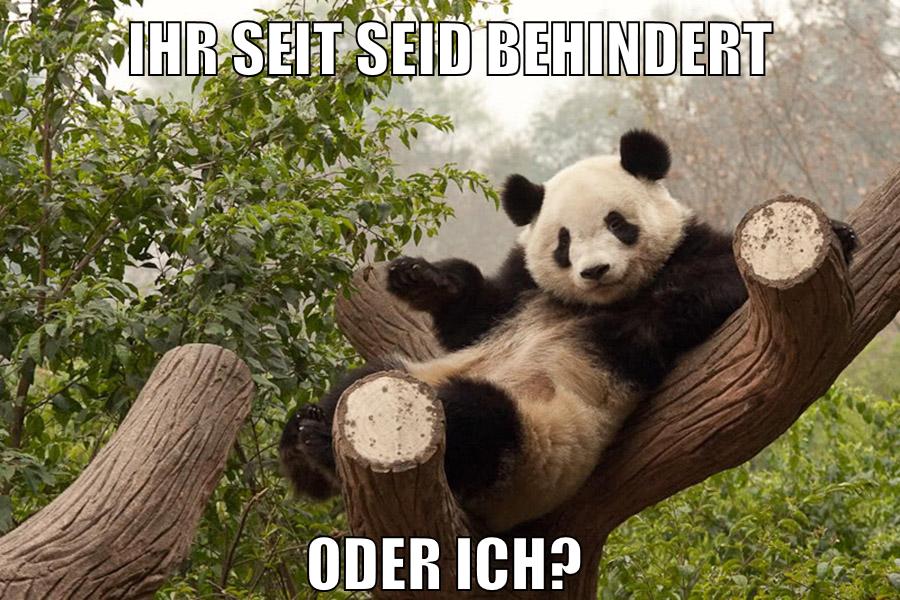 ihr seit seid behindert oder ich?