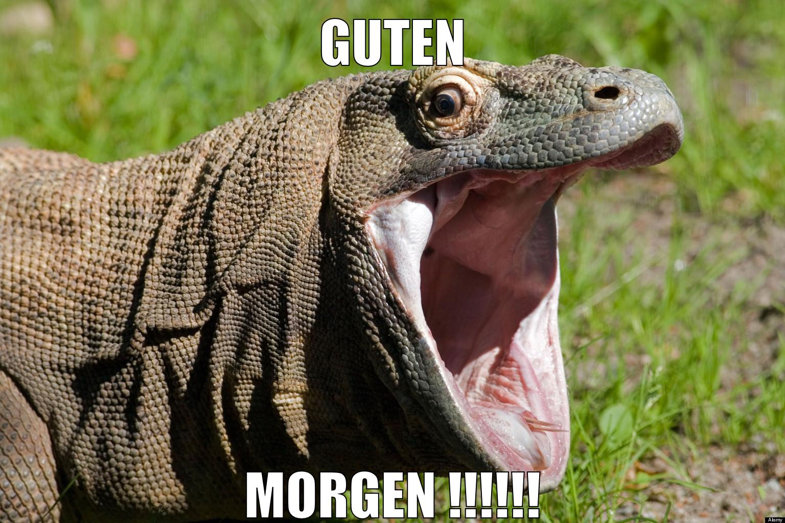 GUTEN MORGEN !!!!!!