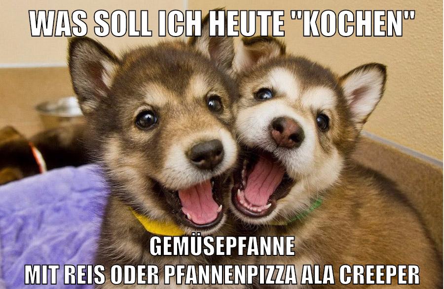 was soll ich heute "kochen" gemüsepfanne mit reis oder pfannenpizza ala creeper