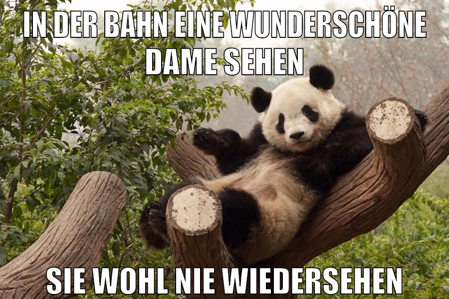 in der bahn eine wunderschöne dame sehen sie wohl nie wiedersehen