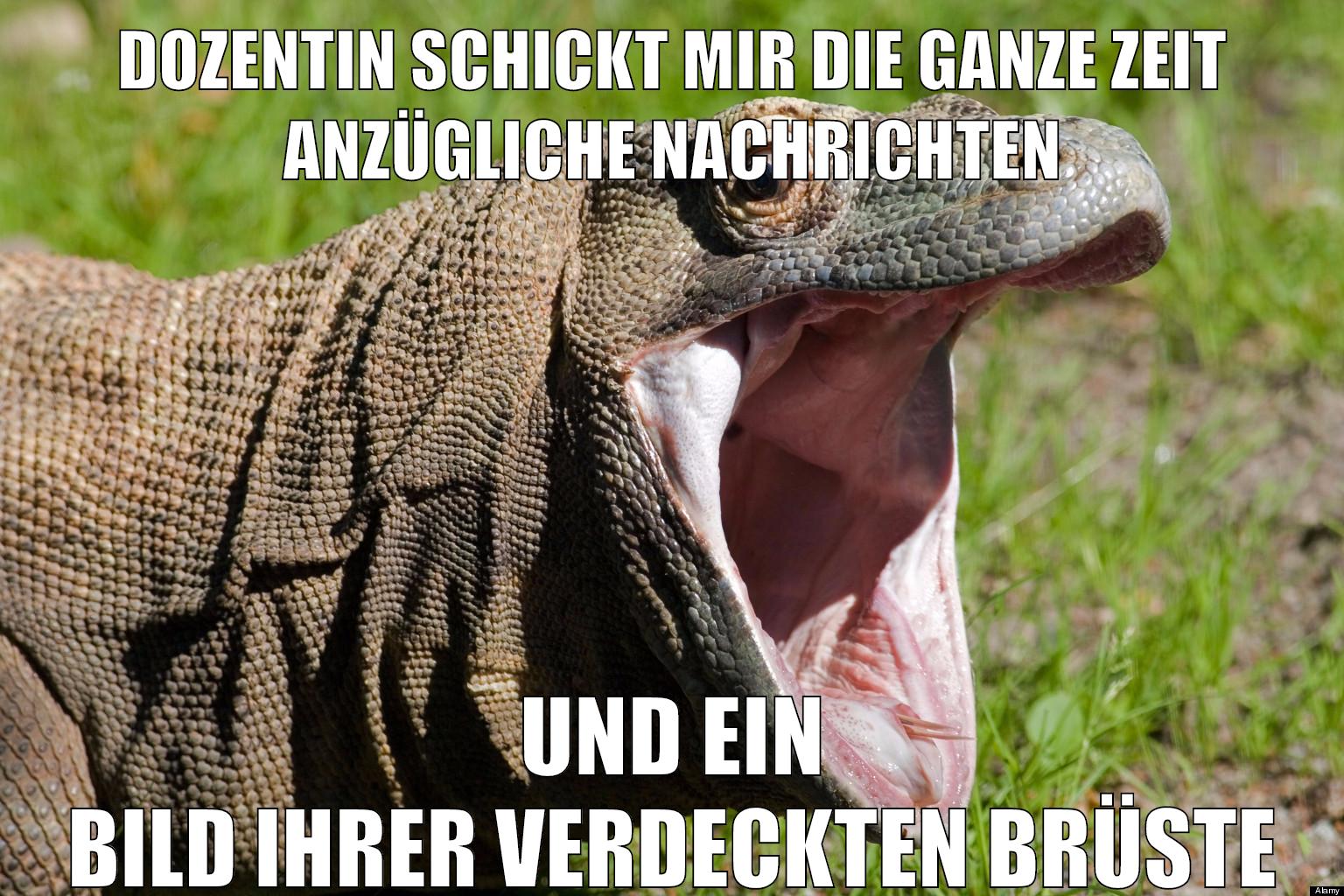 DickeRadieschens RealLife Abenteuer