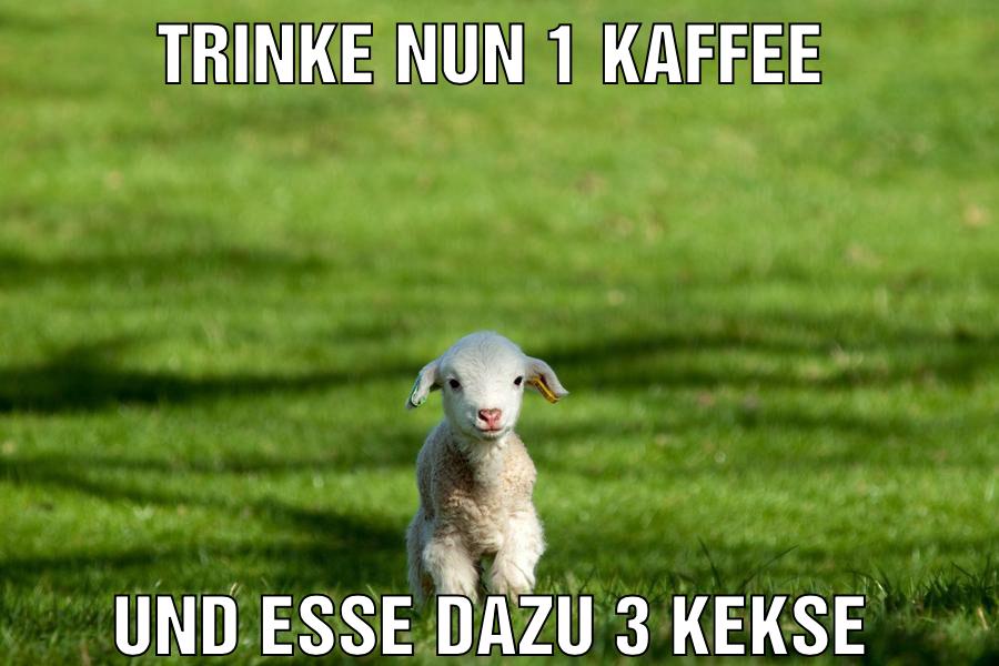 Trinke nun 1 Kaffee Und esse dazu 3 Kekse
