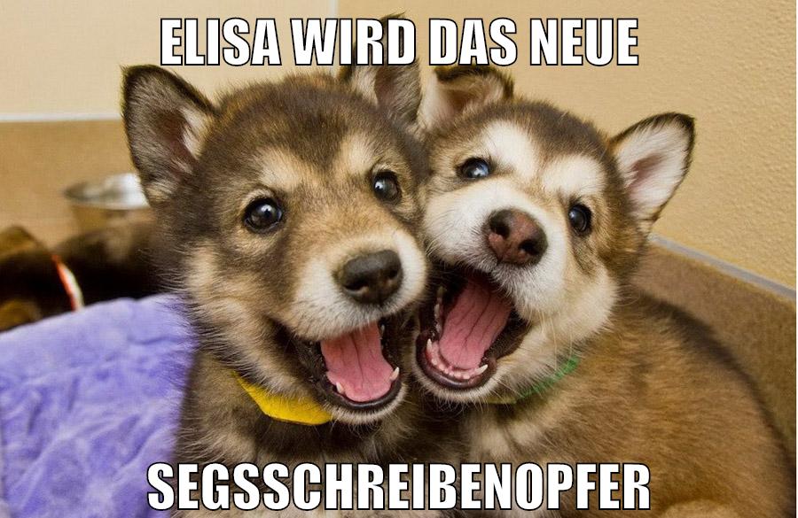 elisa wird das neue segsschreibenopfer