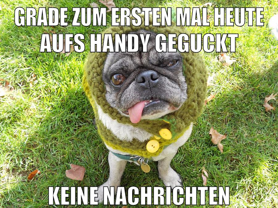 grade zum ersten mal heute aufs handy geguckt keine nachrichten
