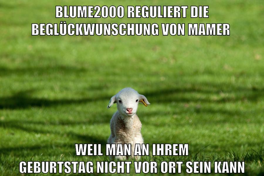 BLUME2000 reguliert die beglückwunschung von mamer weil man an ihrem geburtstag nicht vor ort sein kann