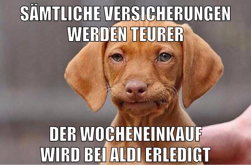 Sämtliche Versicherungen werden teurer der wocheneinkauf wird bei Aldi erledigt