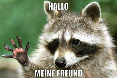 Hallo meine freund