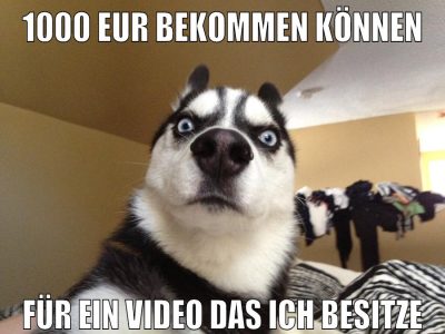 1000 EUR bekommen können für ein Video das ich besitze