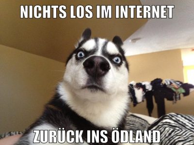 nichts los im internet zurück ins ödland