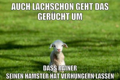 auch lachschon geht das gerücht um dass rainer seinen hamster hat verhungern lassen