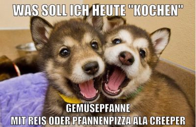 was soll ich heute "kochen" gemüsepfanne mit reis oder pfannenpizza ala creeper