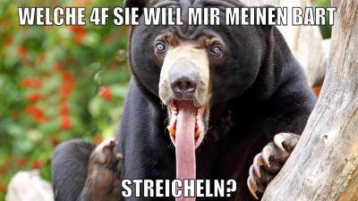 Welche 4f sie will mir meinen bart streicheln?