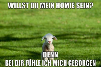 willst du mein homie sein? denn bei dir fühle ich mich geborgen