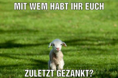Mit wem habt ihr euch Zuletzt gezankt?