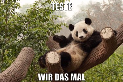 Teste wir das mal