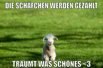 Die schäfchen werden gezählt träumt was schönes <3