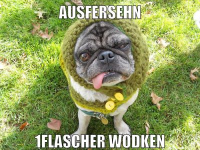 AUSFERSEHN 1FLASCHER WODKEN