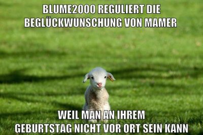 BLUME2000 reguliert die beglückwunschung von mamer weil man an ihrem geburtstag nicht vor ort sein kann