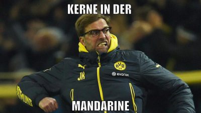 kerne in der mandarine