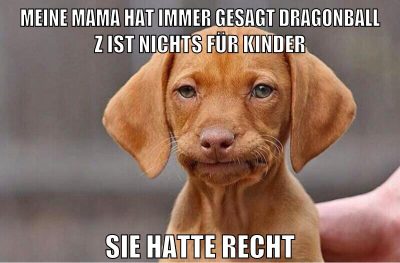 Meine Mama hat immer gesagt Dragonball Z ist nichts für Kinder Sie hatte recht