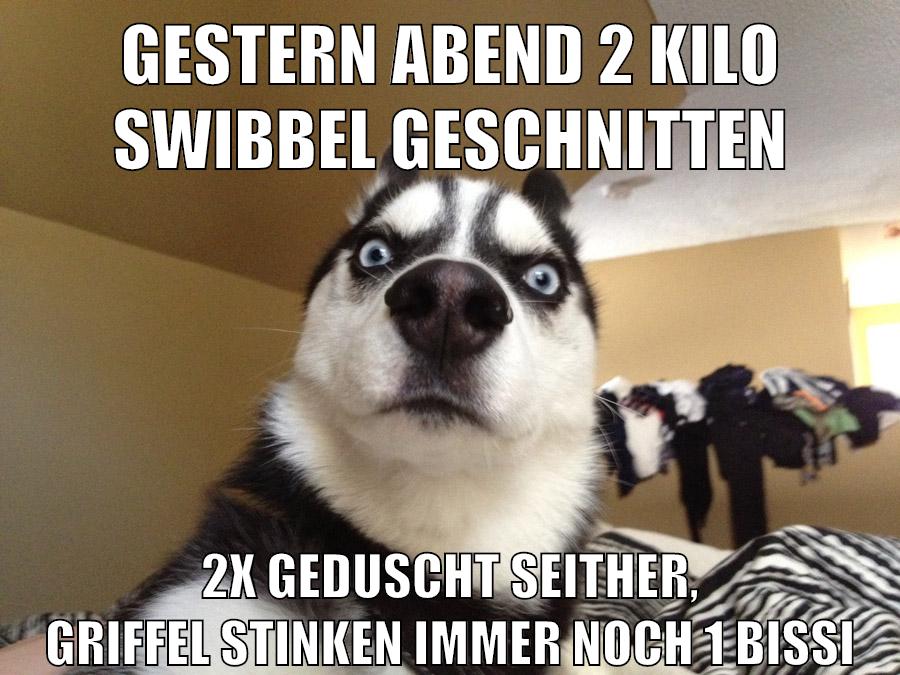 gestern abend 2 kilo swibbel geschnitten 2x geduscht seither, griffel stinken immer noch 1 bissi
